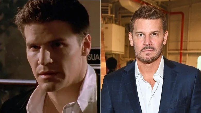 Angel dans Buffy contre les vampires