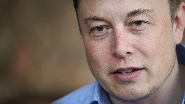 Elon Musk contemplant la vie