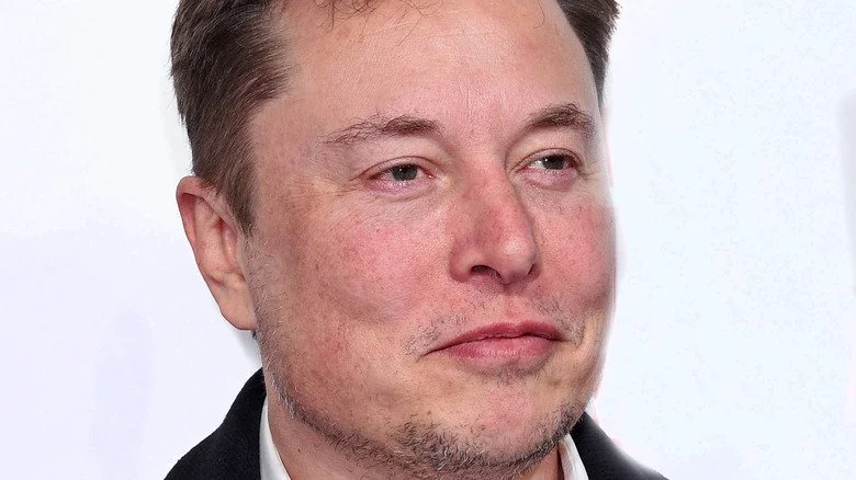 Elon Musk avec un demi-sourire