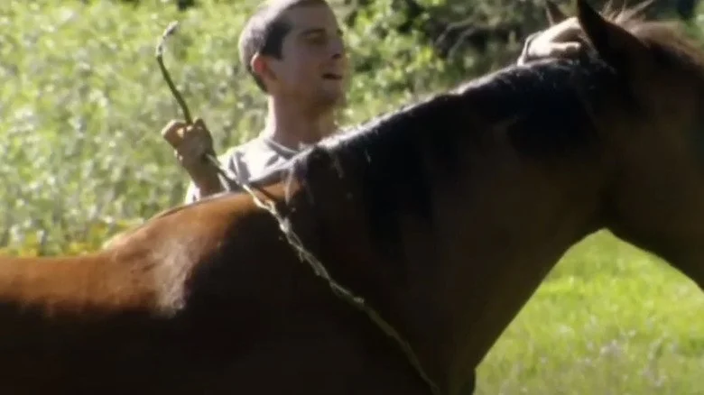 Bear Grylls dresse un cheval dans Man vs. Wild