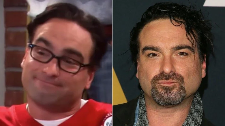 Johnny Galecki dans The Big Bang Theory et dans la vraie vie