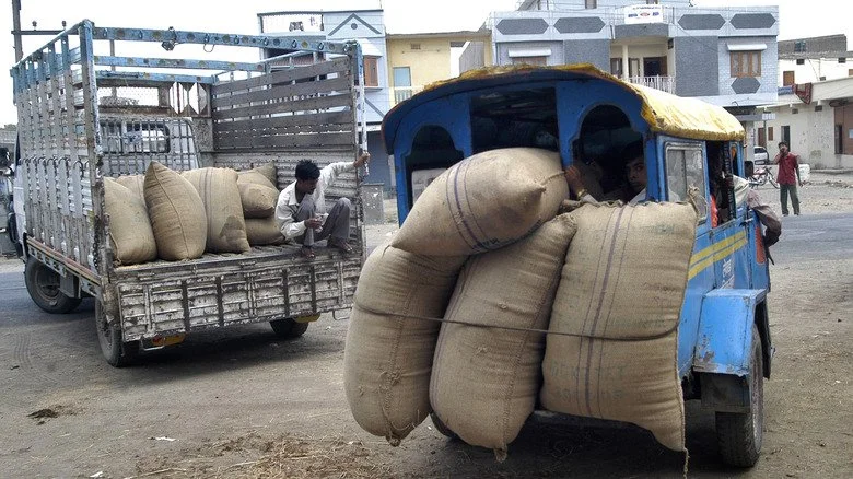 Farmers transporting goods