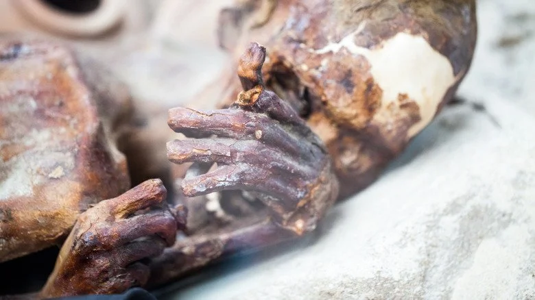 Le Homme de Gebelein en gros plan