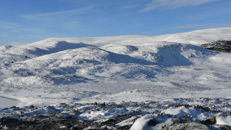 Cairngorms couvertes de neige