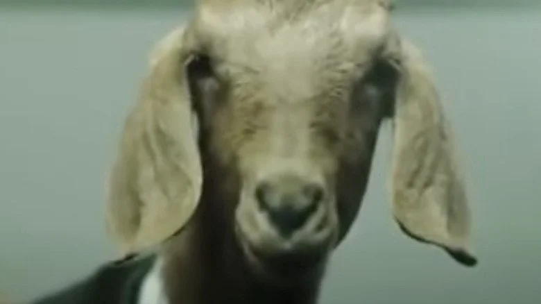 Publicité Mountain Dew de Tyler, the Creator