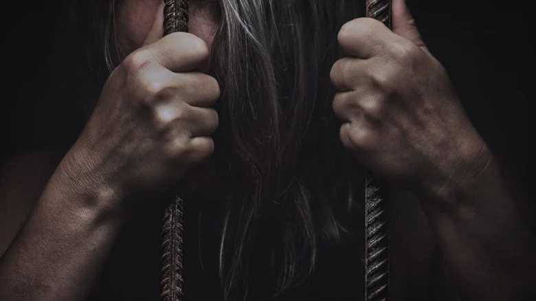 Prisoner gripping bars