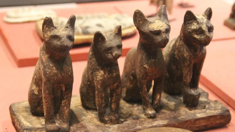 Comment les Perses ont utilisé des chats pour vaincre l&rsquo;Égypte