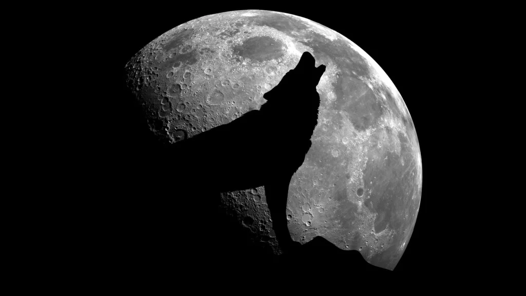 Comprendre la Lune du Loup : Traditions et Significations