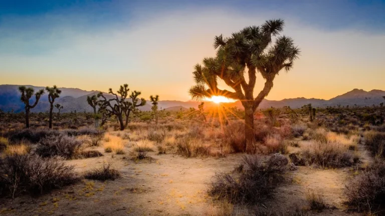 Le mystère insoluble du plus ancien cold case de Californie