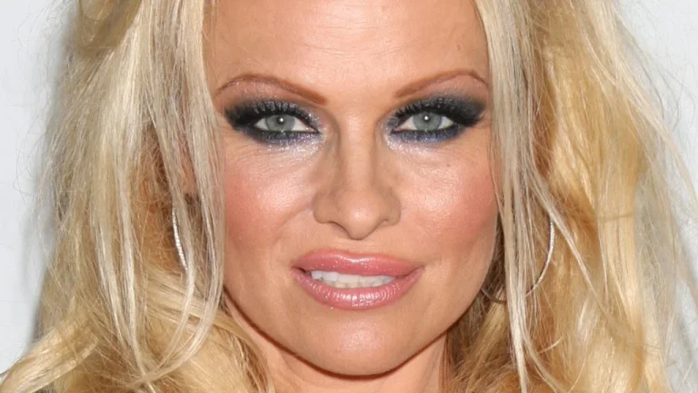 Pamela Anderson : La Reine des Couvertures de Playboy