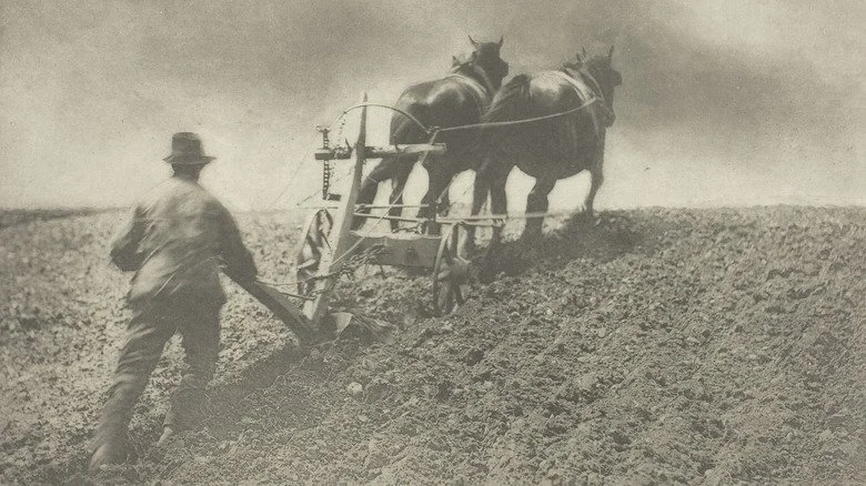 Charrue tirée par un cheval dans les années 1880