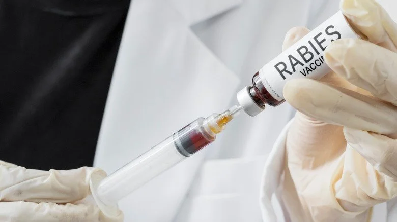 Docteur tenant un vaccin contre la rage