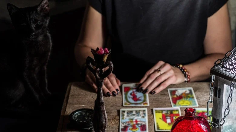 chat noir et cartes de tarot