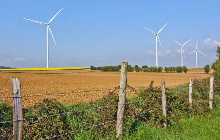 Clôtures trop hautes en Sologne : Une loi pour la biodiversité