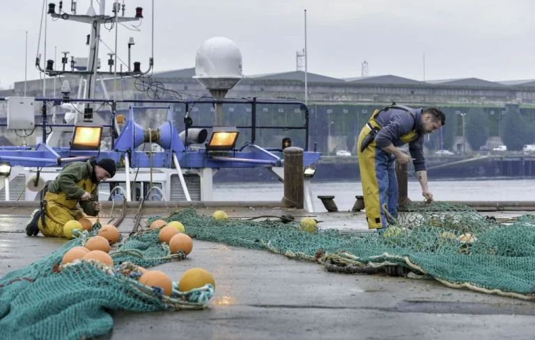 Fermeture de la pêche : protection des dauphins dans le Golfe