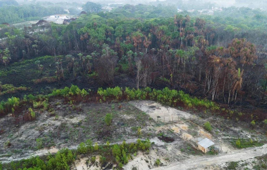 Incendies au Brésil : superficie détruite augmente de 79 % en 2024