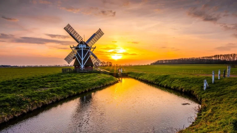 L&rsquo;origine de l&rsquo;expression &lsquo;Run-Of-The-Mill&rsquo; expliquée