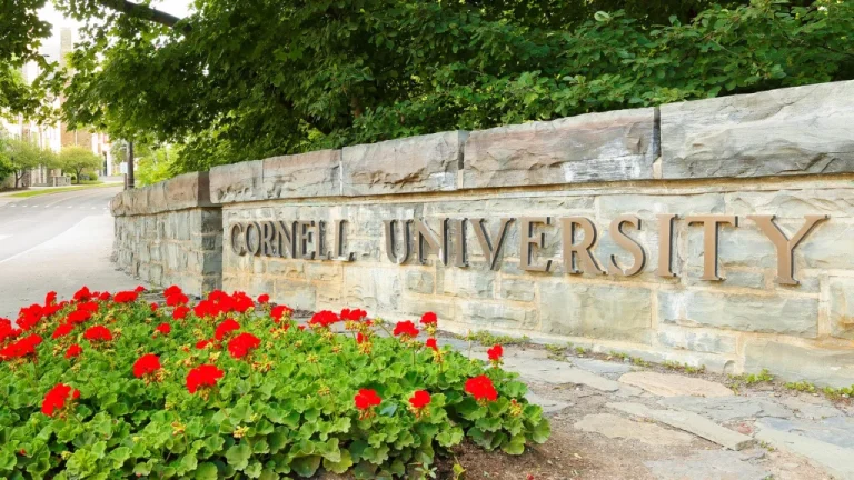 Le Dragon Day : Une Tradition Étrange de Cornell University