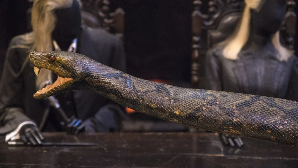 Légende sud-asiatique : Nagini dans Harry Potter