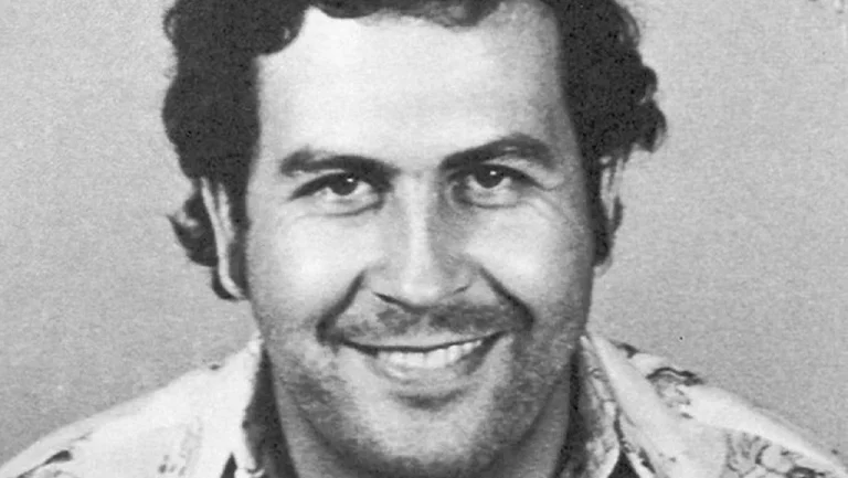 Les hippopotames de Pablo Escobar reconnus comme des personnes
