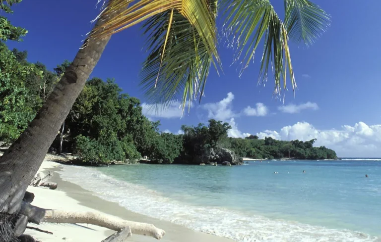 Meurtre tragique d&rsquo;une jeune femme en Guadeloupe : Un suspect écroué