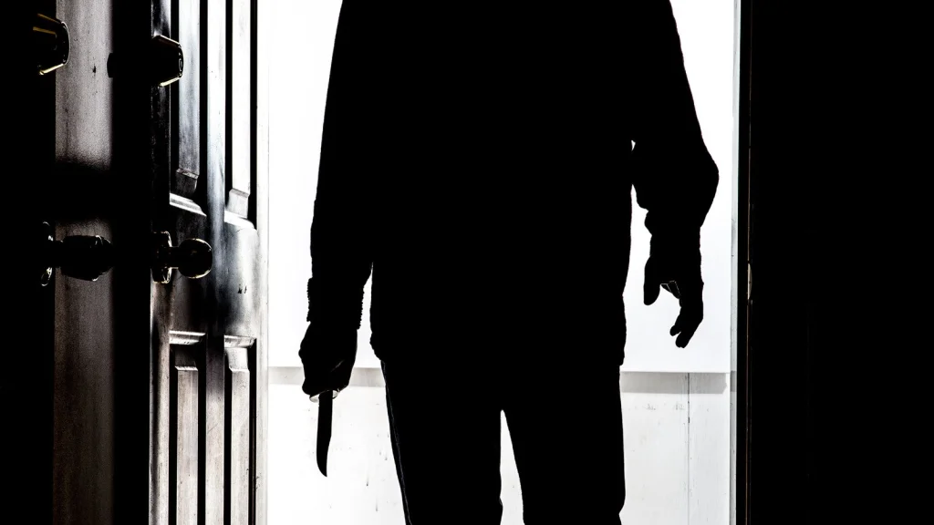 Meurtre tragique de Brooke Preston : Une défense controversée