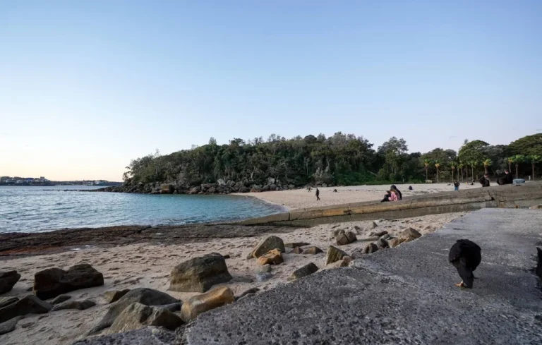 Mysterious Grey Spheres Force Closure of Nine Sydney Beaches
