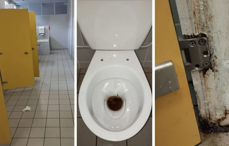Parents à Rennes nettoient des toilettes d&rsquo;école en détresse