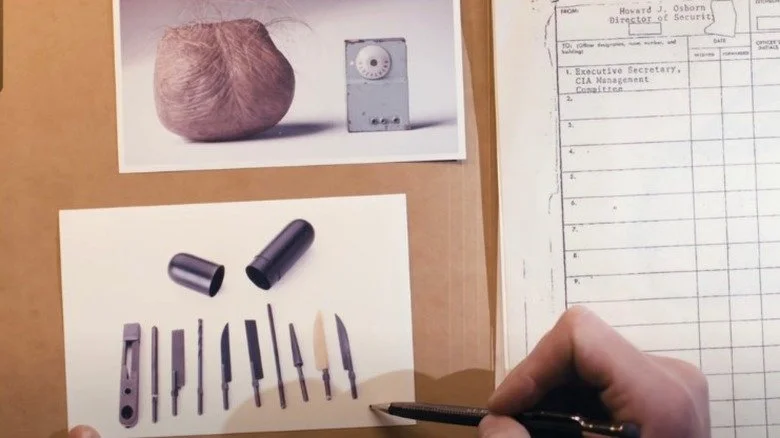 Kit rectal et faux scrotum