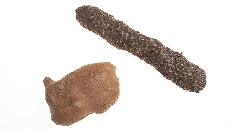 Dispositif de détection sismique de la CIA sur fond blanc