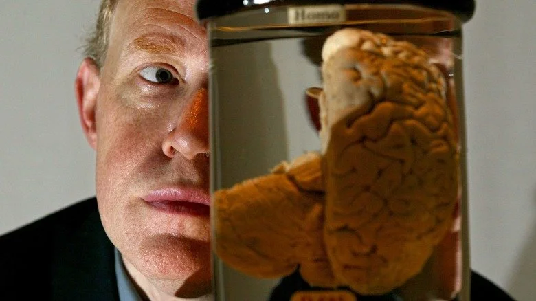 Cerveau de Babbage dans un bocal