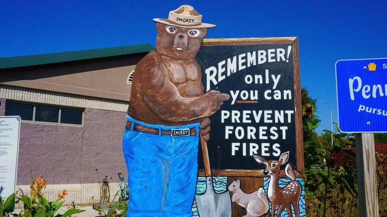 Smokey Bear sign saying 'only you can prevent forest fires'