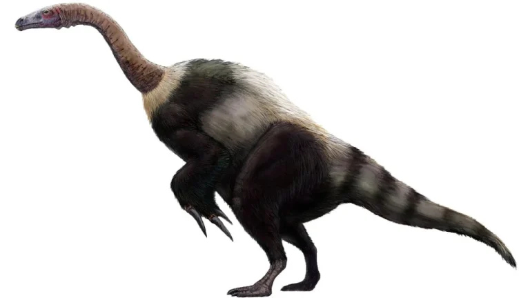 Découvrez le Suzhousaurus, dinosaure énigmatique de Chine