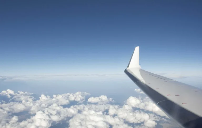 Fou en plein vol : Passagers maîtrisent un homme sur un avion