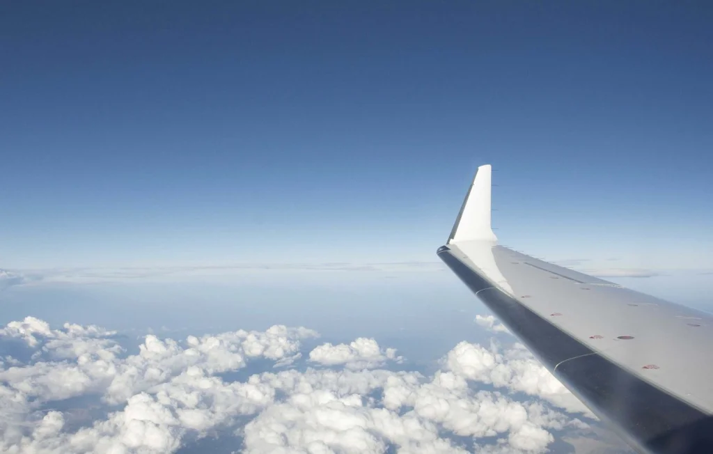 Fou en plein vol : Passagers maîtrisent un homme sur un avion