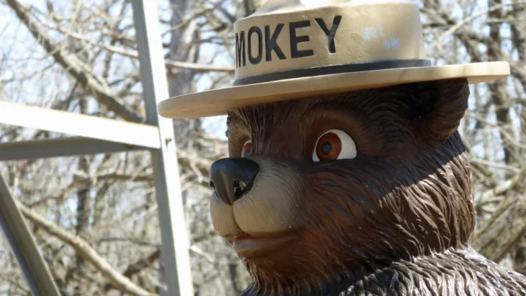 La Véritable Histoire de Smokey Bear, l&rsquo;Icone Américaine