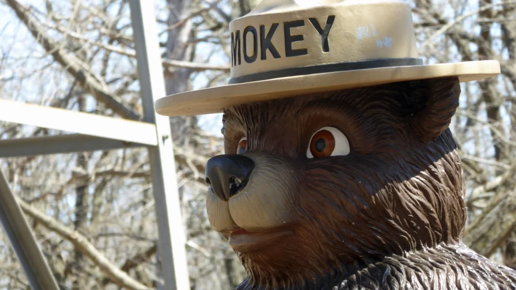 La Véritable Histoire de Smokey Bear, l'Icone Américaine