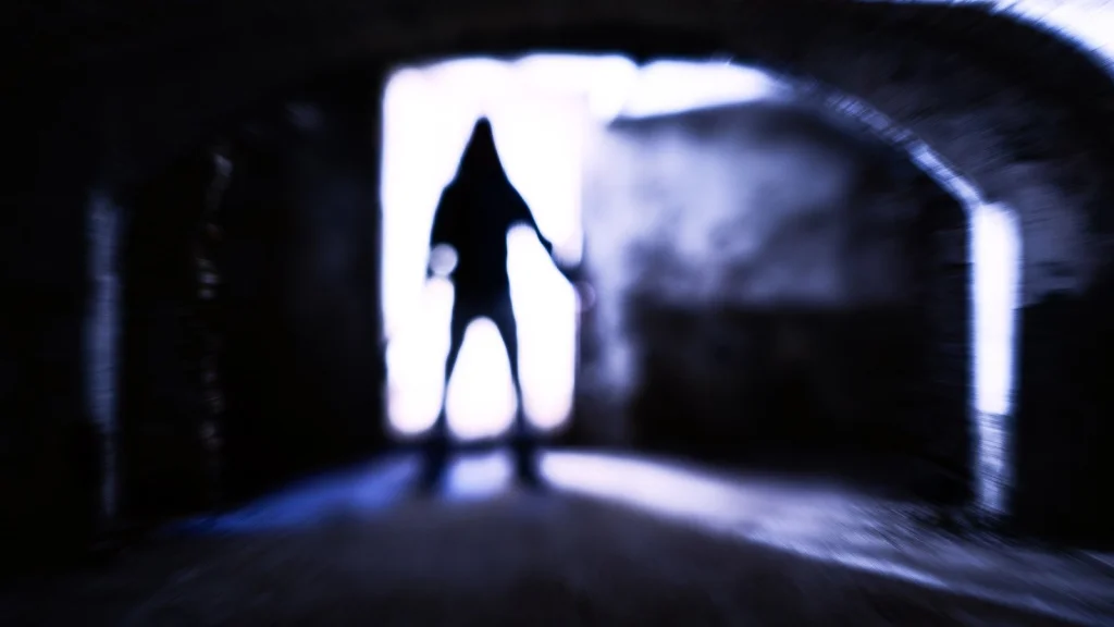 Le Monstre de la Bastille : Chronique d'un Tueur en Série