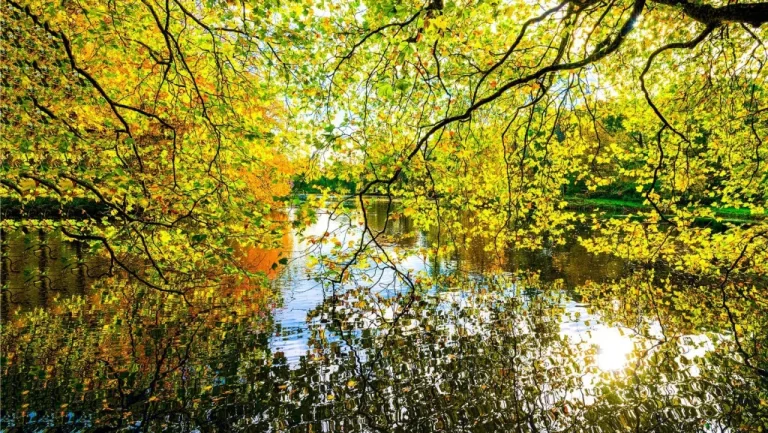 Le climat menace-t-il la survie des plantes sur Terre ?