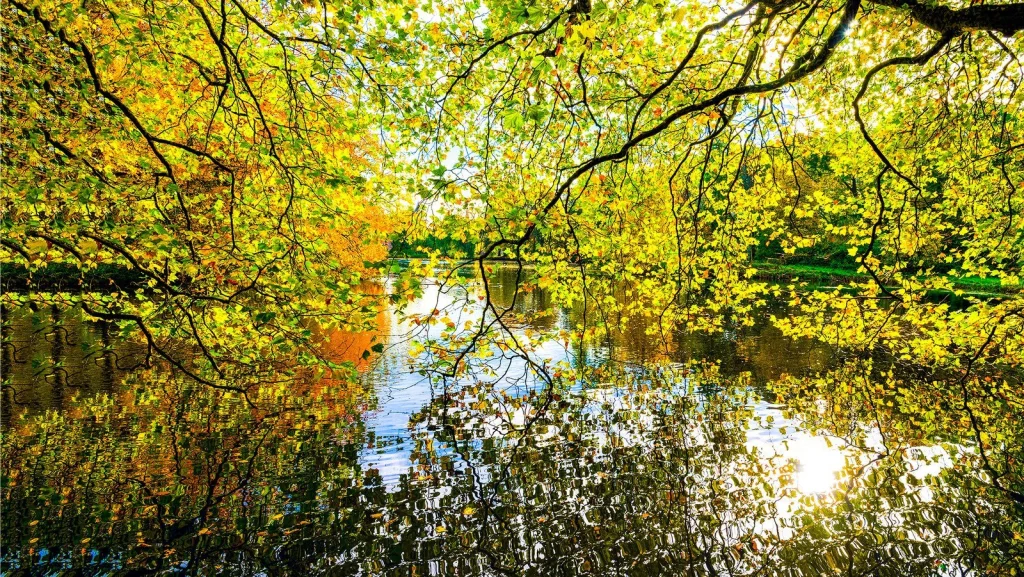 Le climat menace-t-il la survie des plantes sur Terre ?