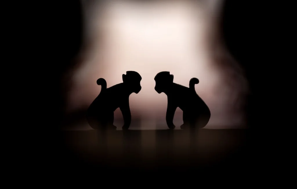 Les Meilleurs Jeux de Société à Offrir pour la Saint-Valentin