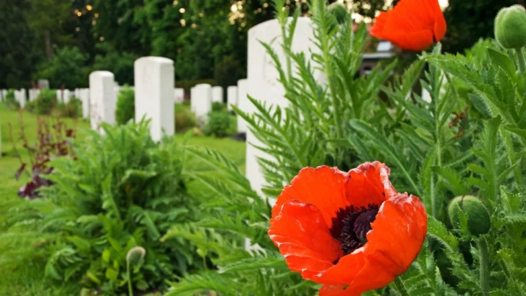 Les mystères les plus étranges de la Première Guerre mondiale
