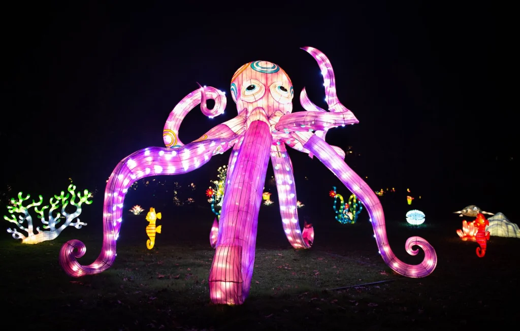 Rennes : L'Odyssée Lumineuse du Cirque Bouglione illumine le Thabor