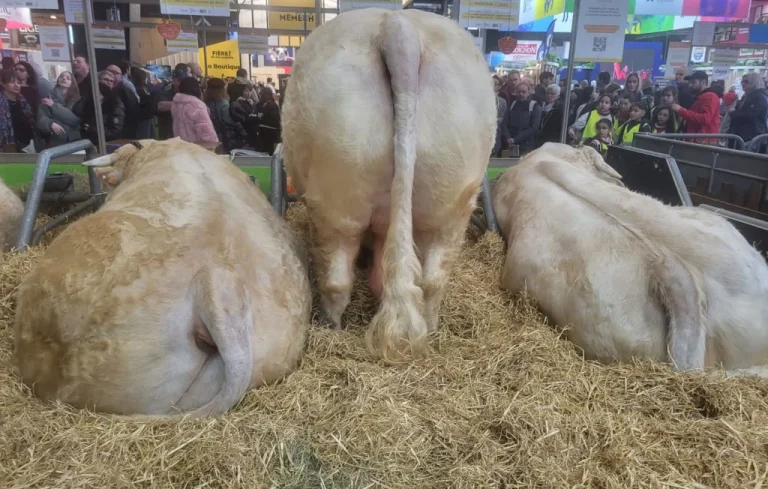 Salon de l&rsquo;Agriculture 2025 : Évacuation des déchets animaliers