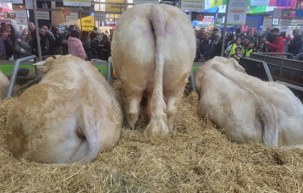 Salon de l'Agriculture 2025 : Évacuation des déchets animaliers