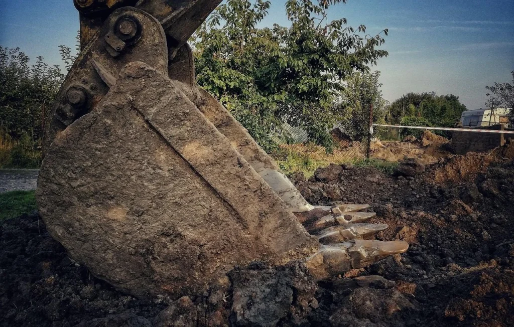 Suspension des travaux de l'aéroport de Canberra pour protéger un lézard