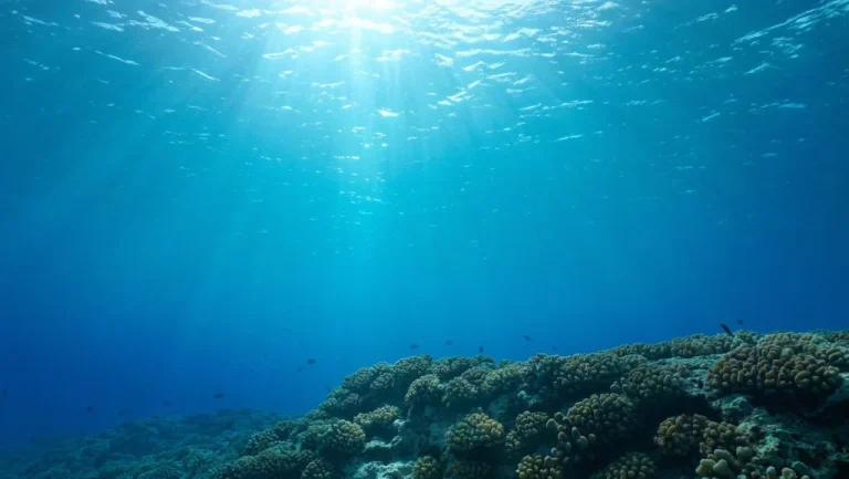 Températures Extrêmes au Fond des Océans : Ce Que Vous Devez Savoir