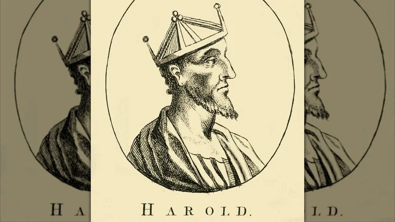 Représentation graphique de Harold II