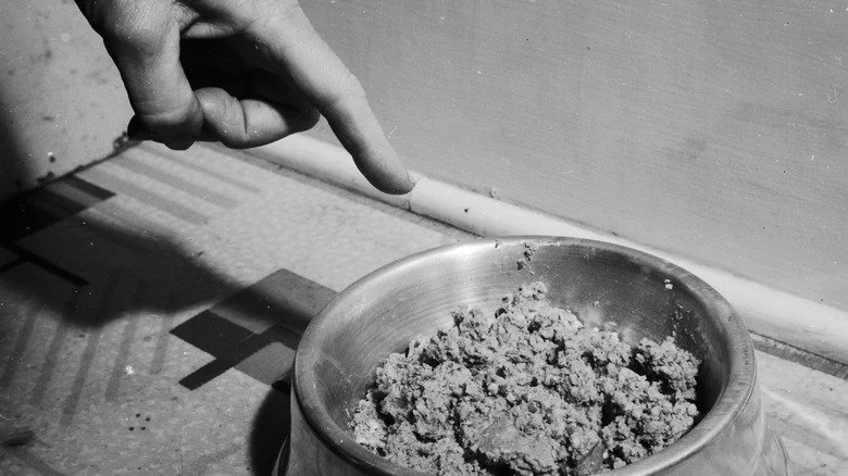 Aliments pour animaux