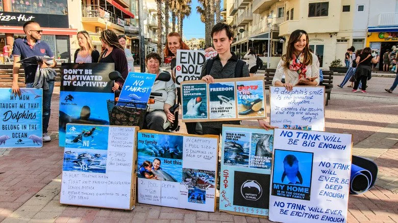 Protestation des mammifères marins en captivité
